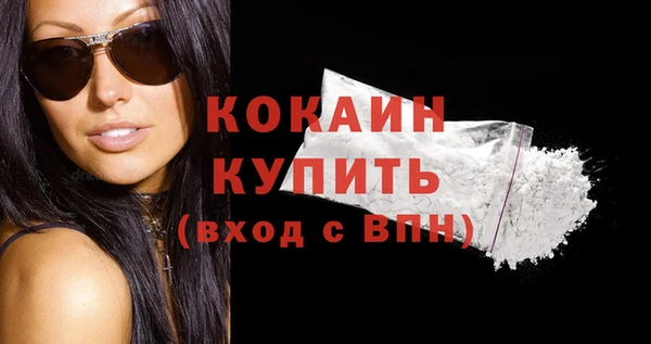 прущие грибы Армянск