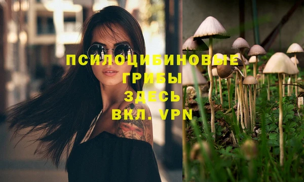 прущие грибы Армянск