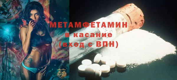 прущие грибы Армянск