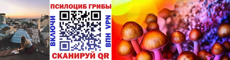 как найти закладки Перевоз Галлюциногенные грибы Magic Shrooms